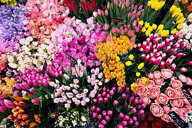 末世废土与科幻机甲的碰撞：《湮灭线》公布实机演示