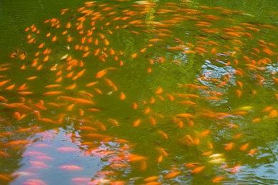 《赛博朋克2077》PS5画面对比：1.3 vs 1.5