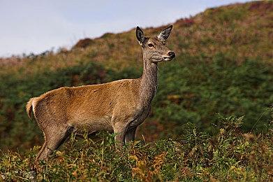 终极生存模拟游戏《Surviving the Aftermath》主机版 2022年7月28日发售